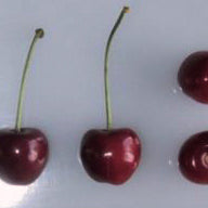 Bowyer Heart Kirsche