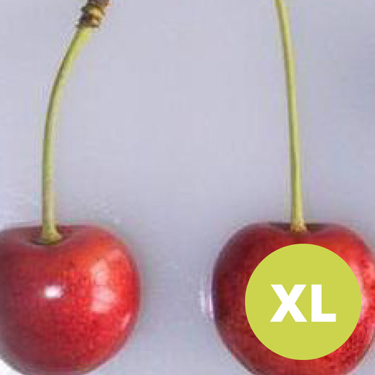 Merton late – Stort Körsbärsträd