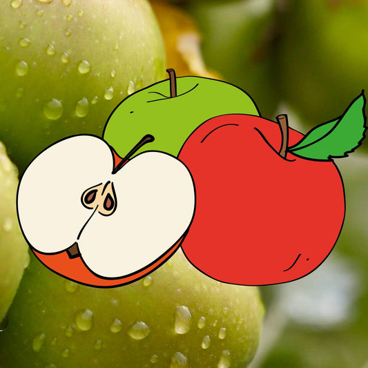 Allington på Antonovka Grundstam - Malus Domestica 'Allington'