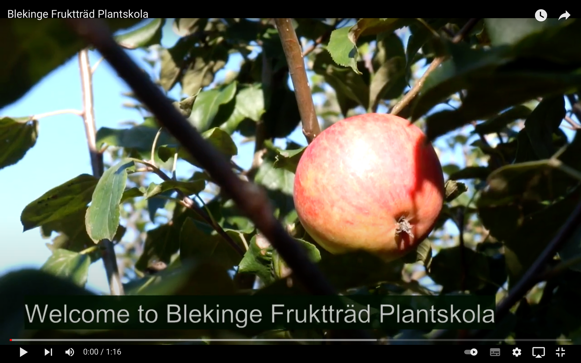 Ladda video: En liten videointroduktion till vår växtskola